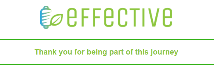 The final newsletter of project EFFECTIVE