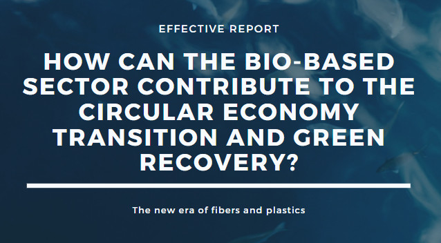 What are bioeconomy stakeholders saying? 